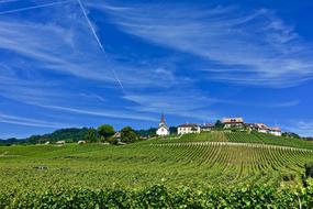 Farmland Agriculture Nature