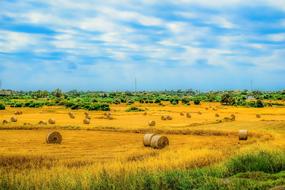 Nature Landscape Sky