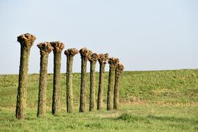 The Dome Of Sky No Person