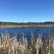 Waters Nature Landscape