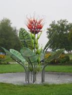 a big flower in the park