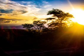 Sunset Dawn Dusk