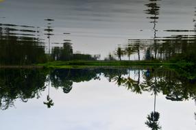 Water Reflection Nature
