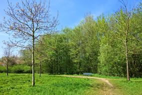 Tree Path Park