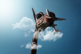 Camel with an airplane in the clouds