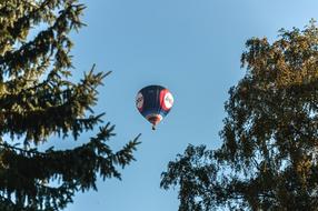 Tree Sky Nature Hot Air