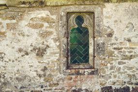 green glass wall view