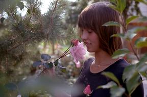 Nature Outdoors Beautiful