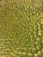 Nature Pattern Food