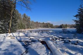 Snow Lake Coast
