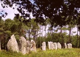 Dolmens Megaliths Nature