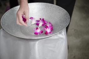 Flower hand bowl macro