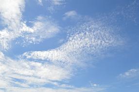 Nature Outdoors Sky