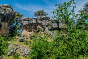 Landscape Nature