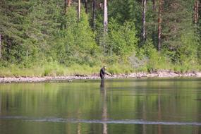 Body Of Water Nature Wood