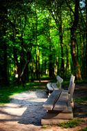 Nature Park Forest