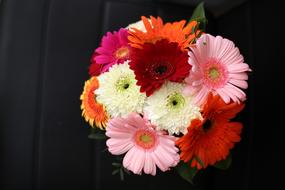 Gerbera Daisy Bouquet