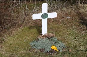 Cemetery Nature Cross Old