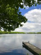 Water Lake Tree