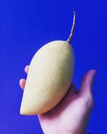 ripe sweet fruit in hand