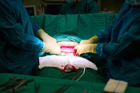 Surgery Hospital hands