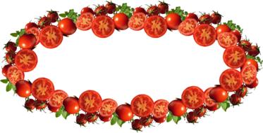 tomato circle pattern