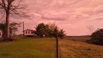 Dusk Orange view