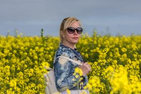 Field Flower Nature