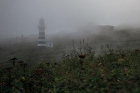 Fog Nature Landscape