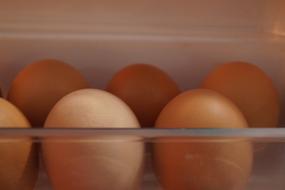 fresh raw eggs in the fridge