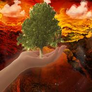 hand tree nature keep green