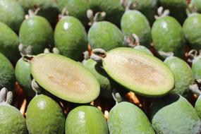 juicy exotic sweet fruit