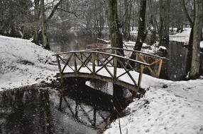 Winter Snow Cold