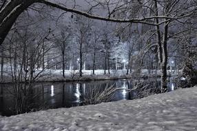 Winter Snow Cold
