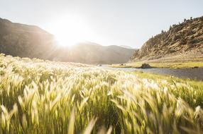 Outdoors Nature Landscape