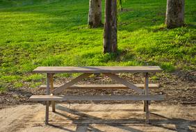 Bench Wood Grass