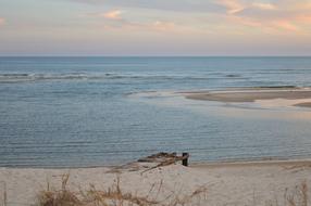 sea surface with beach