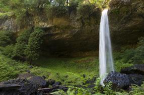 waterfall by the green grass
