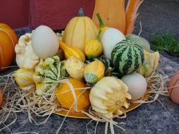 delicious pumpkins in the hay
