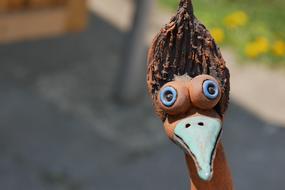 Nature Bird Animal World