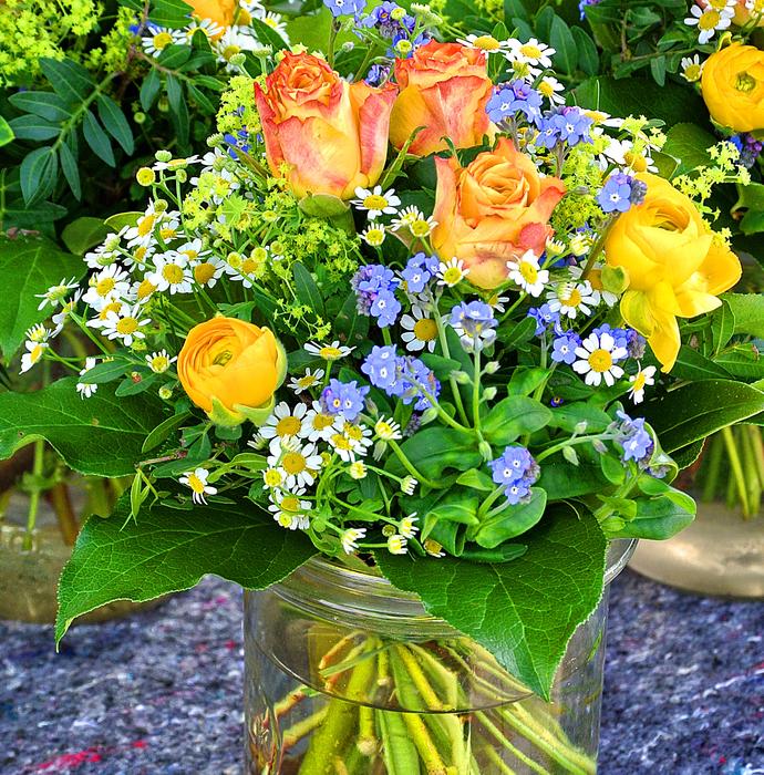 Flower Plant Garden