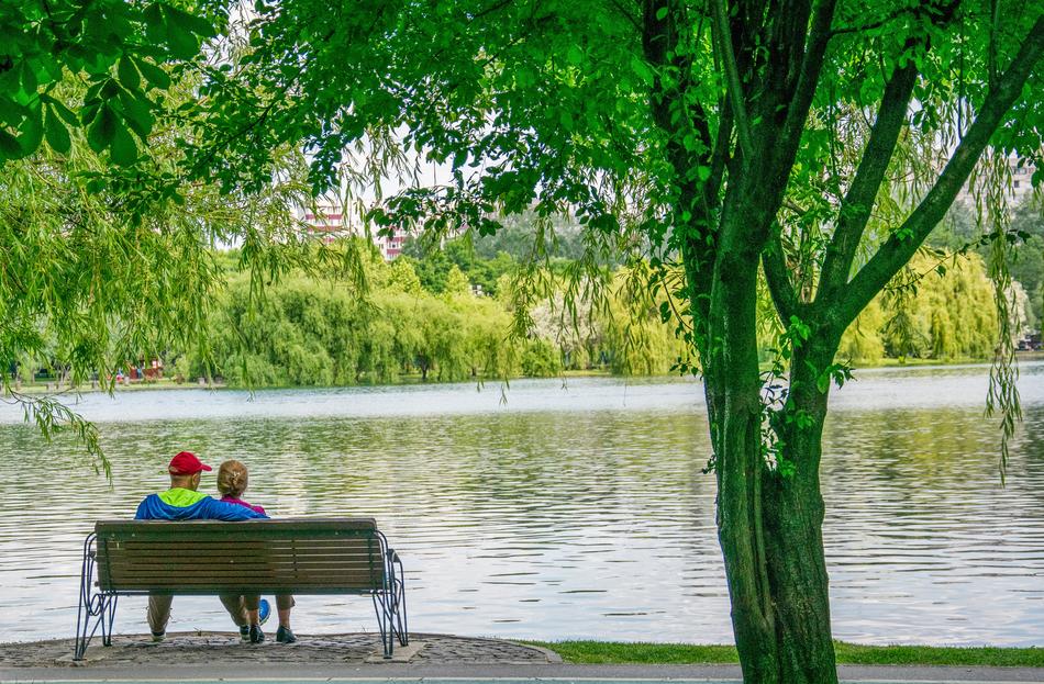 Water Lake Nature