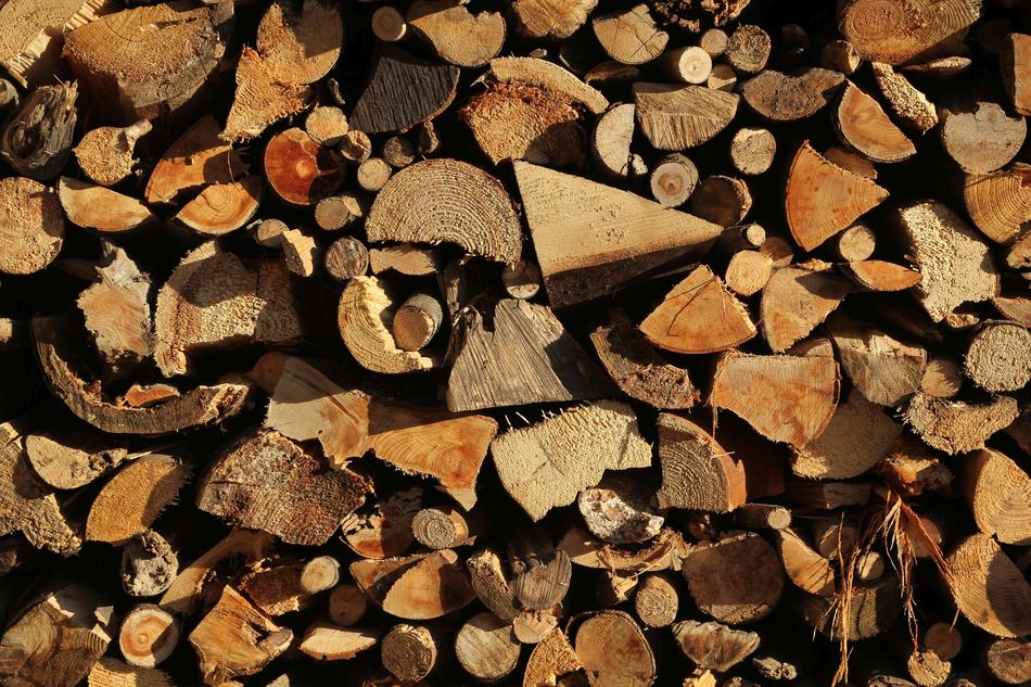 Growing Stock Wood Holzstapel