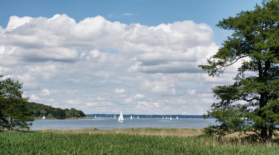 Nature Panorama Waters