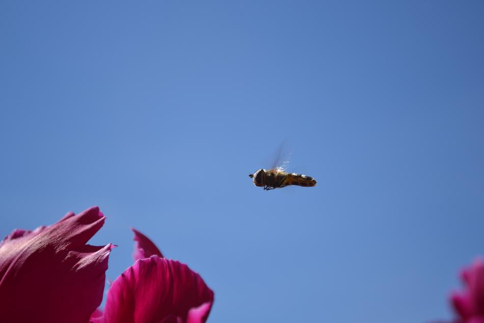 Nature Himmel Outdoor