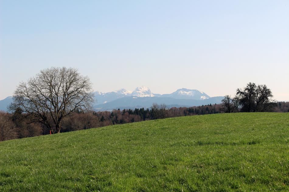 Landscape Nature Grass