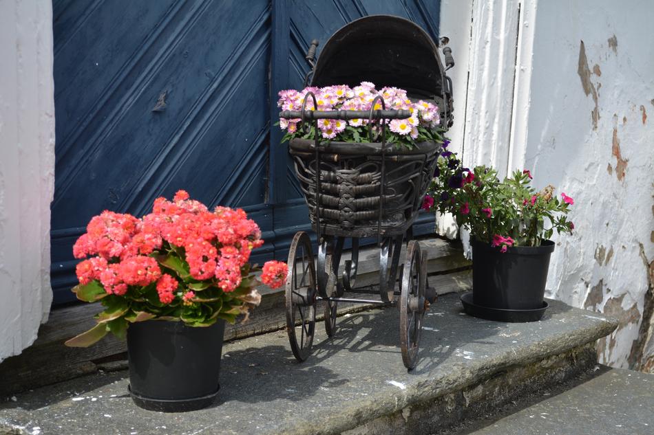 Flower Pot Garden
