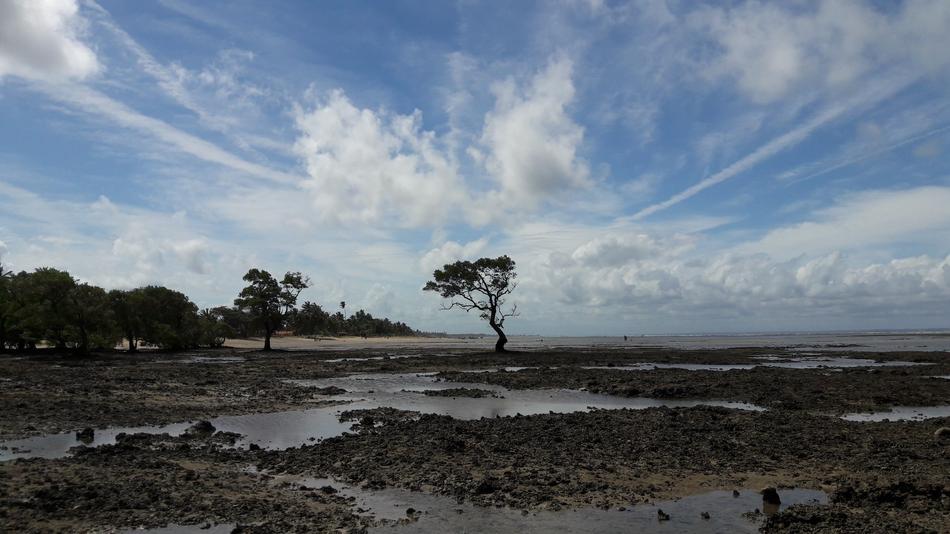 Nature Sky Panorama