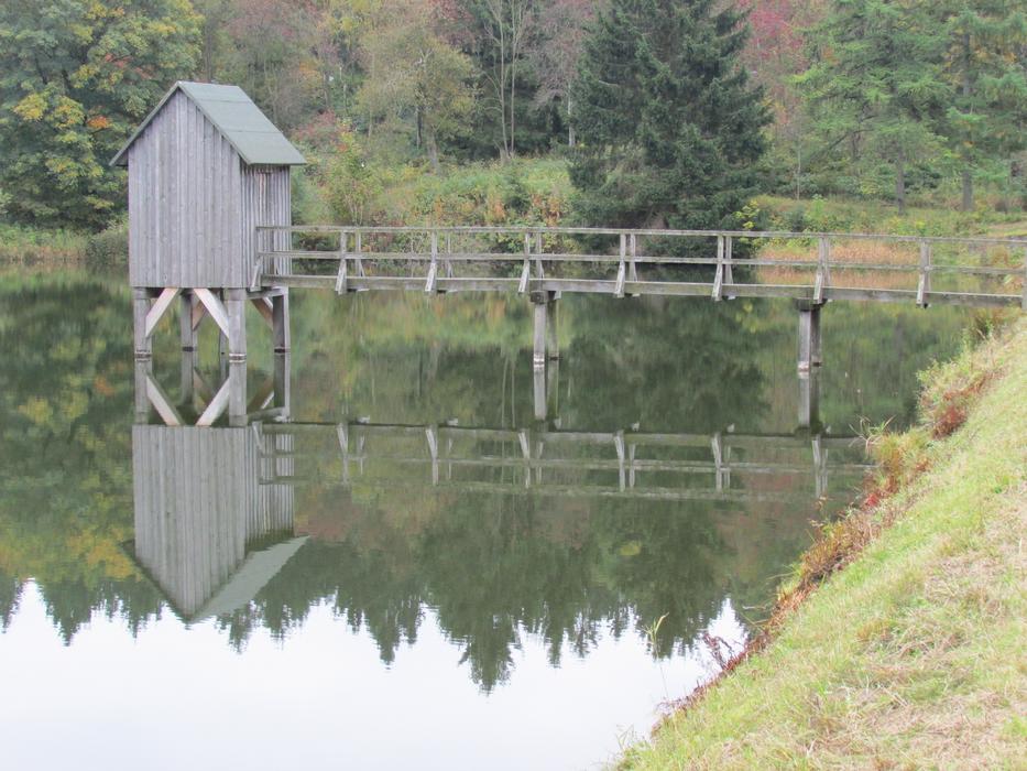 Nature Wood Waters