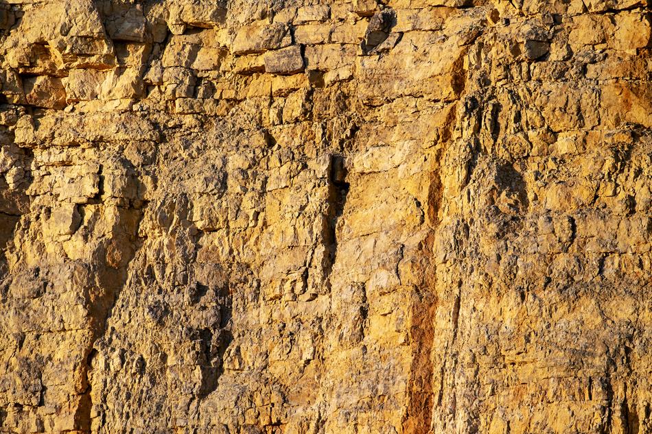Background Rau Texture